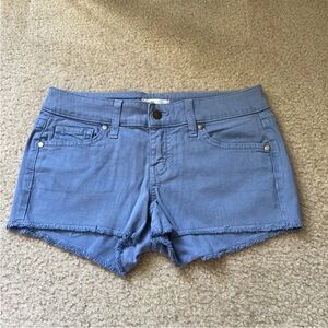 NWOT Wyatt Vintage Cut-Off Denim Shorts